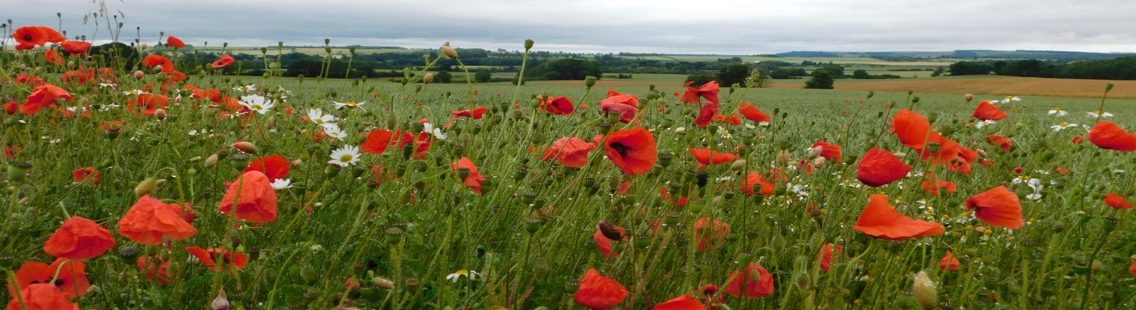 Granary Holidays Burythorpe