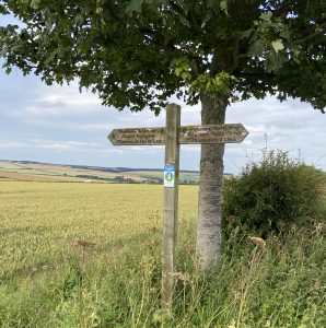 Yorkshire Wolds